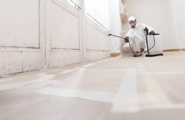 24/7 Emergency Black Mold Removal experts in Newport, TN